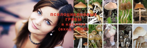 марки nbome Апатиты