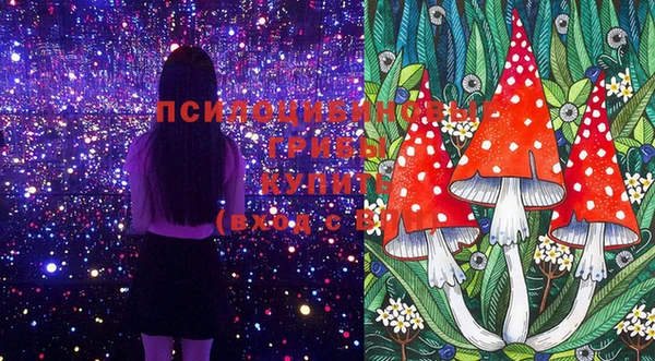 круглые Фёдоровский