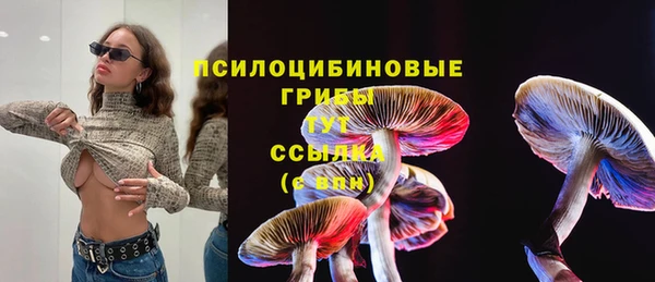 гидропоника Анива