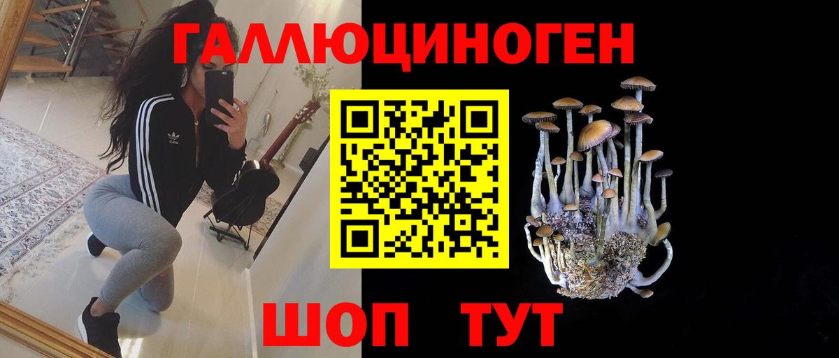 наркошоп  Псилоцибиновые грибы мицелий  Псилоцибиновые грибы Psilocybine cubensis  Вход с VPN  Александров 