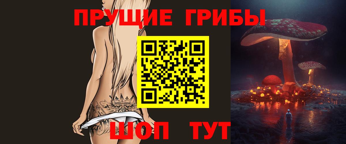Псилоцибиновые грибы мицелий Александров
